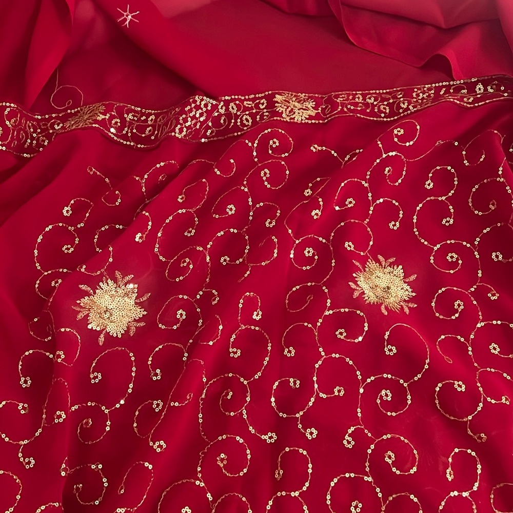 Red saree with gold embellishments
